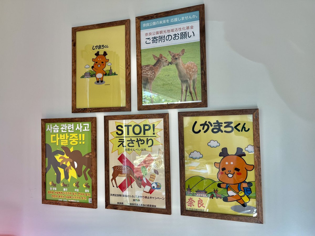 Such an awesome and unique gift, I love it so much. Thanks <a href="/FlipBunny/">Flip Bunny 🔜 TFF/FWA/LVFC</a>!