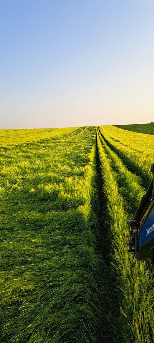 A little test plot shows that the <a href="/syngentacanada/">Syngenta Canada</a> standy uppy juice was worth the 💰 this yr