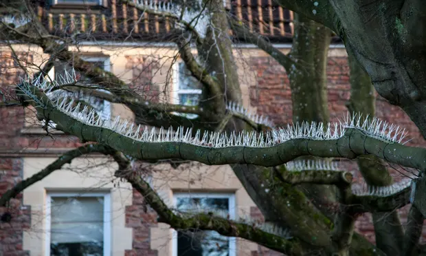 Imagine cruel people in their nice cosy homes take all the time and effort to put up spikes in Trees so that the little birds looking for shelter from the cold wind rain and heat in Trees as nature intended are met with cruel spikes to hurt them and leave them with no shelter