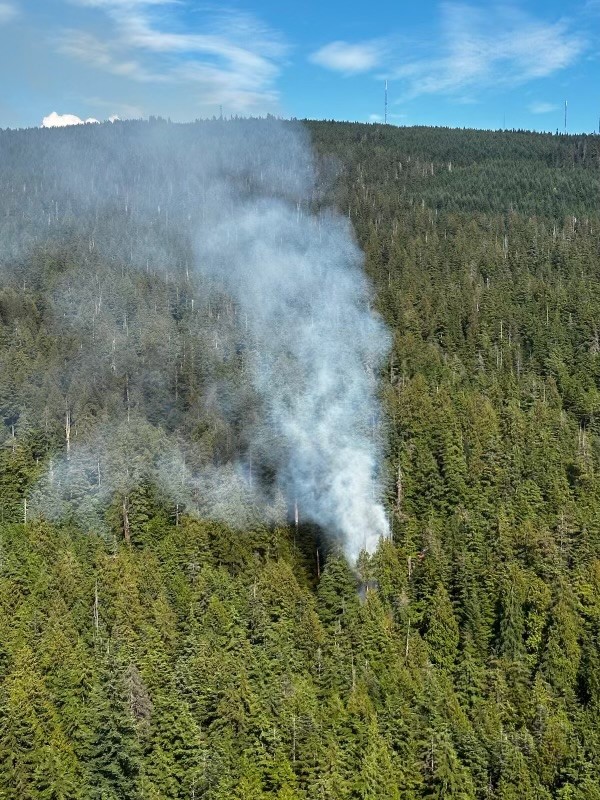 metrovanemerg's tweet photo. Metro Vancouver wildfire crews are responding to a fire in the Lower Seymour Conservation Reserve, with support from BC Wildfire Services and the District of North Vancouver Fire and Rescue. You will see aerial resources working in the area. @NVanDistrict @BCGovFireInfo https://t.co/E03VvXV12U