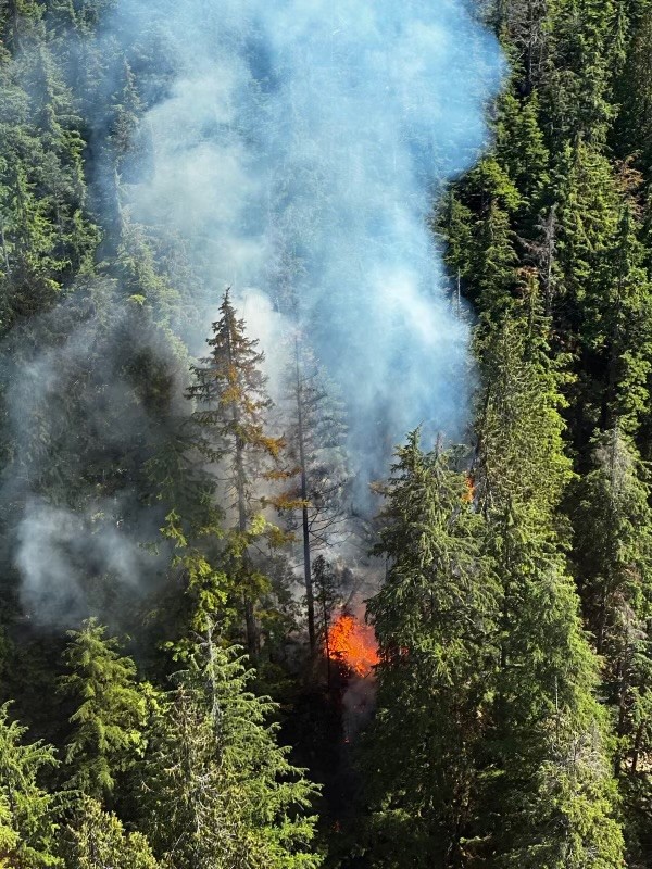 Metro Vancouver wildfire crews are responding to a fire in the Lower Seymour Conservation Reserve, with support from BC Wildfire Services and the District of North Vancouver Fire and Rescue. You will see aerial resources working in the area. <a href="/NVanDistrict/">District of North Vancouver Discussion</a> <a href="/BCGovFireInfo/">BC Wildfire Service</a>