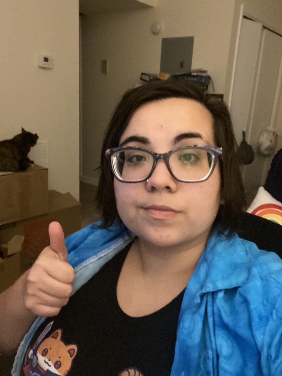 Sorta sleepy, and the cats love the packing boxes.  Time for BOTW over on Twitch
Twitch.tv/itsawkie