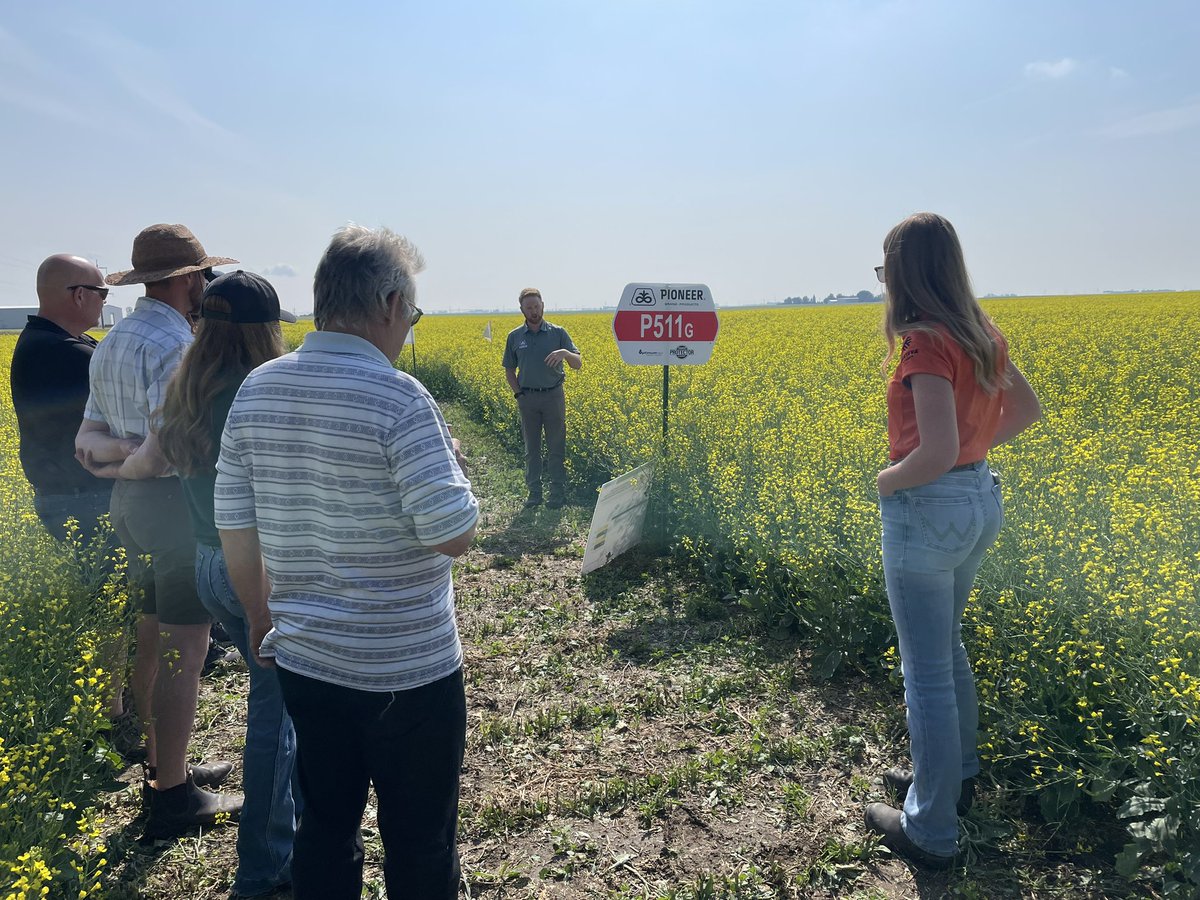 Mark Kuchuran tweet media