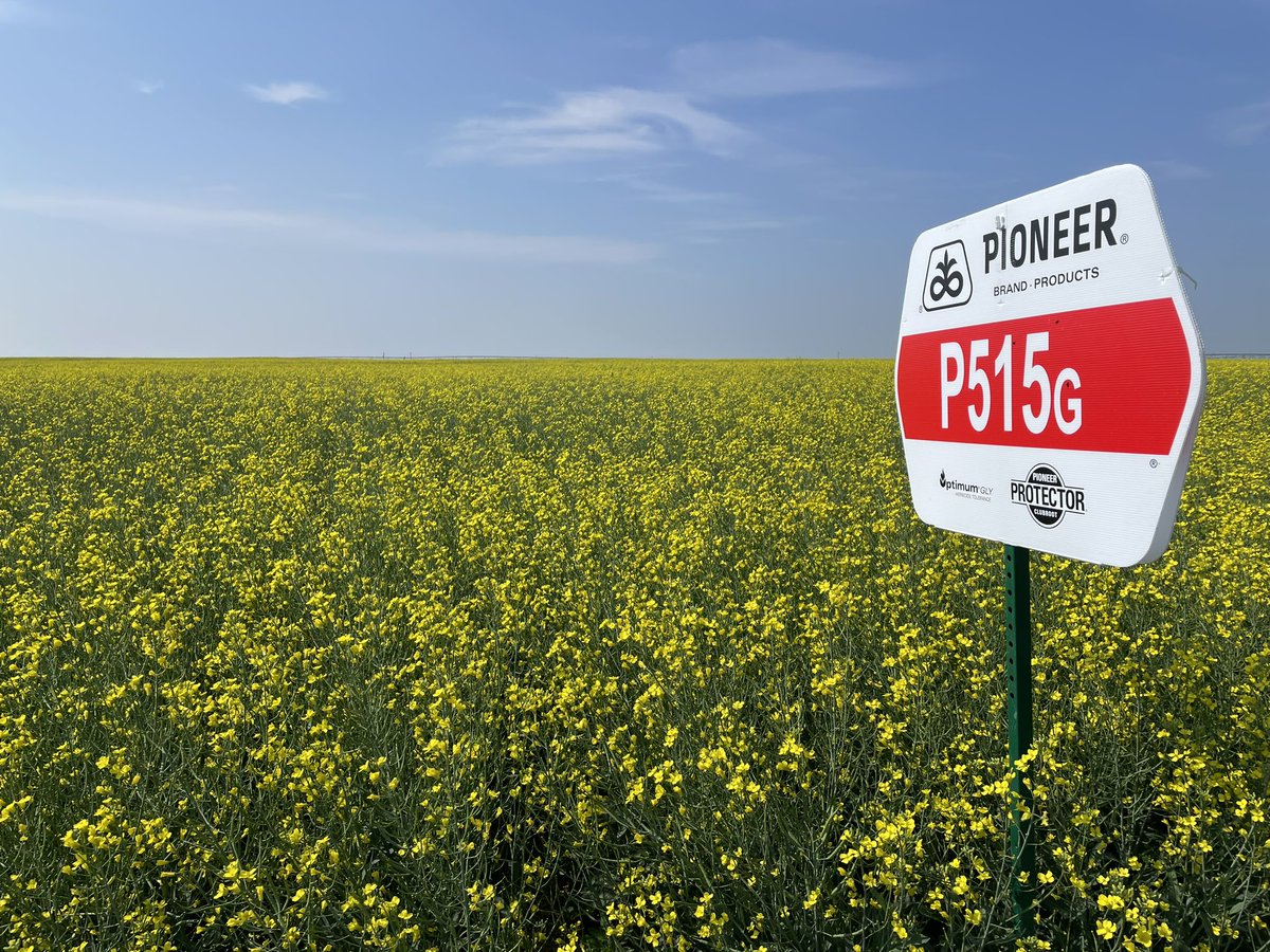 Mark Kuchuran tweet media