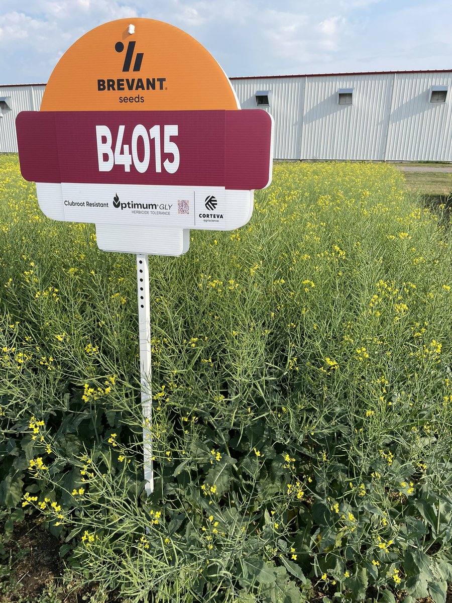 Mark Kuchuran tweet media