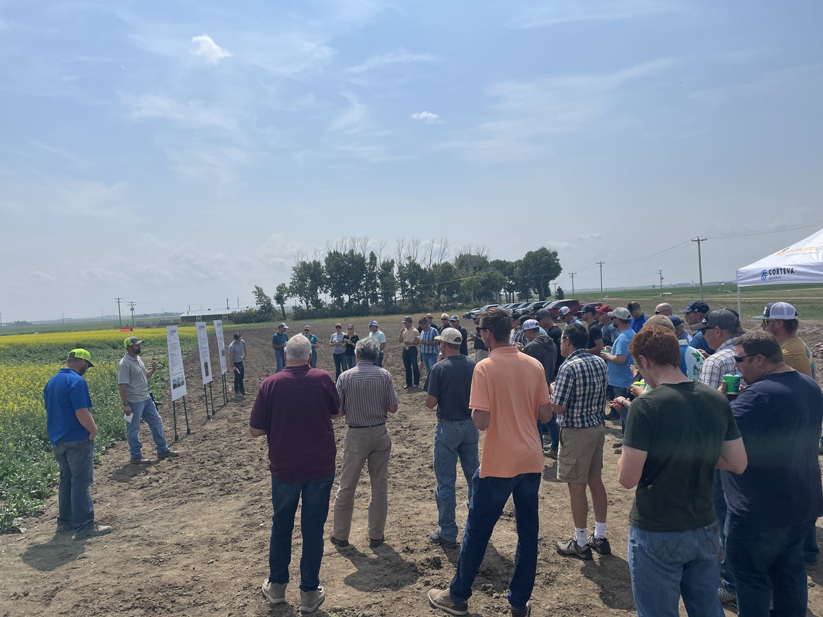 Mark Kuchuran tweet media