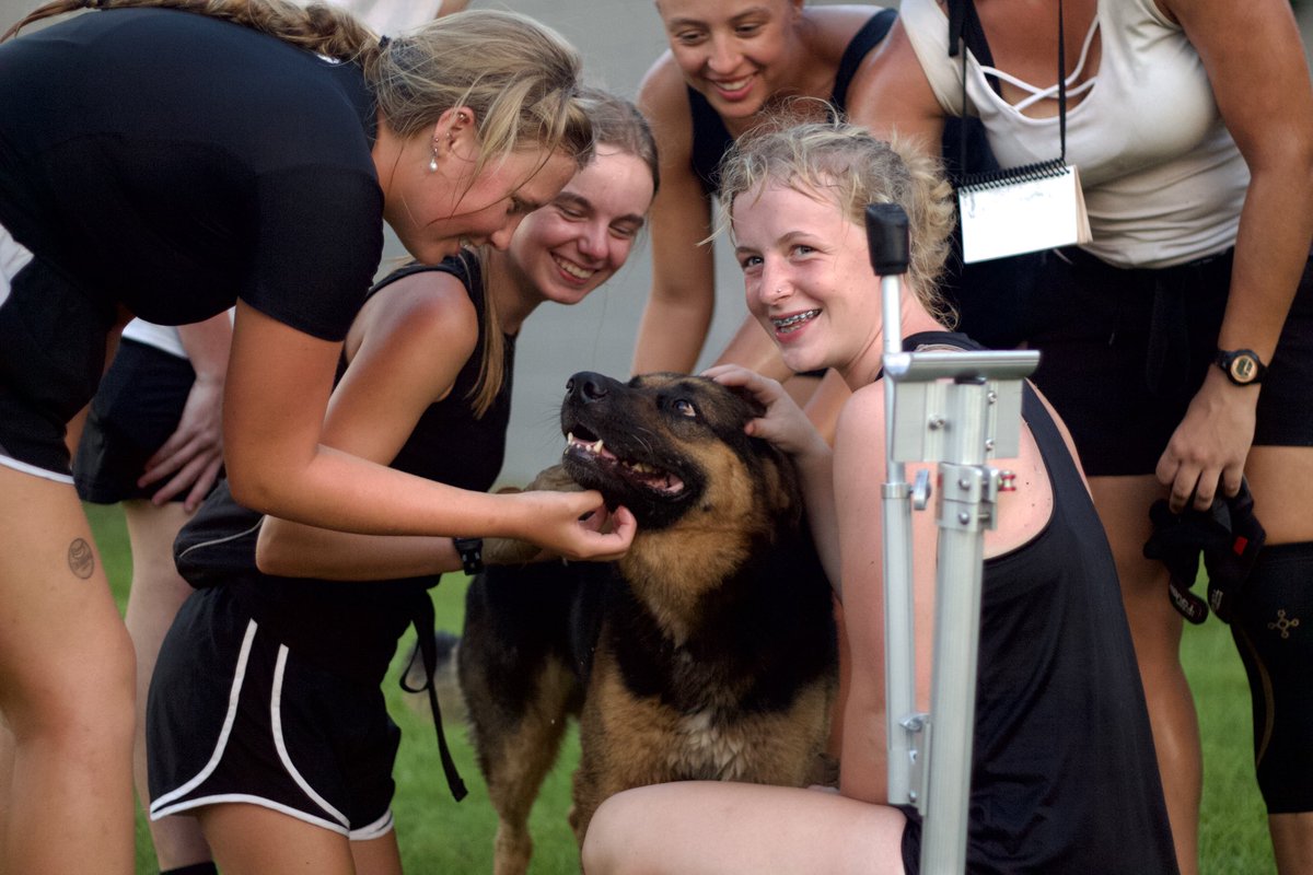 Southwind1980's tweet photo. We had a surprise visitor today during our ensemble block 🐶🧡
#drumcorps #dci #marchingband #southwind #SW2023 #SDUB https://t.co/4qHXhigw1m