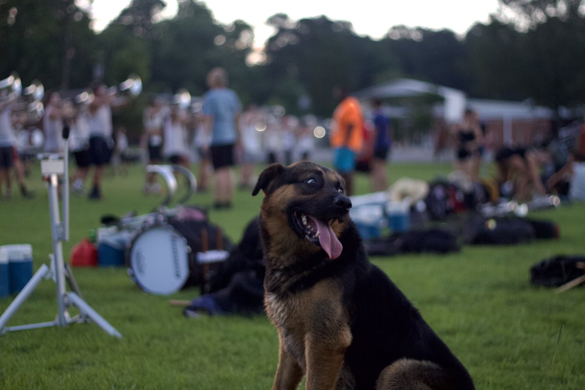 Southwind1980's tweet photo. We had a surprise visitor today during our ensemble block 🐶🧡
#drumcorps #dci #marchingband #southwind #SW2023 #SDUB https://t.co/4qHXhigw1m
