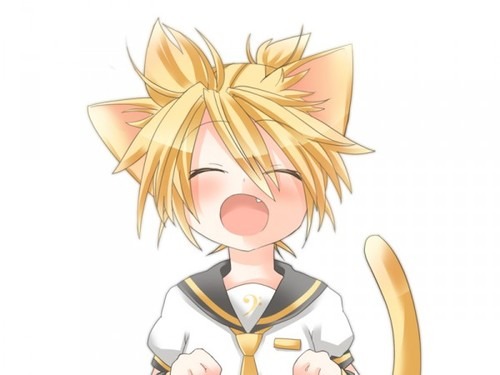 Catboy Bot tweet media