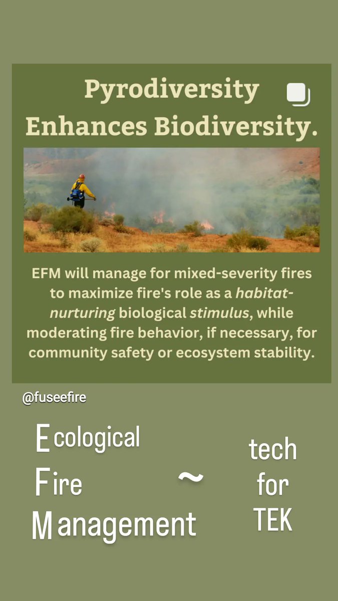 JSimcha's tweet image. #GoodFire is not optional. It's either GF or more of the same: environmental degradation. #JoinUs in this urgent work. In NorCal? Observe our next burn.