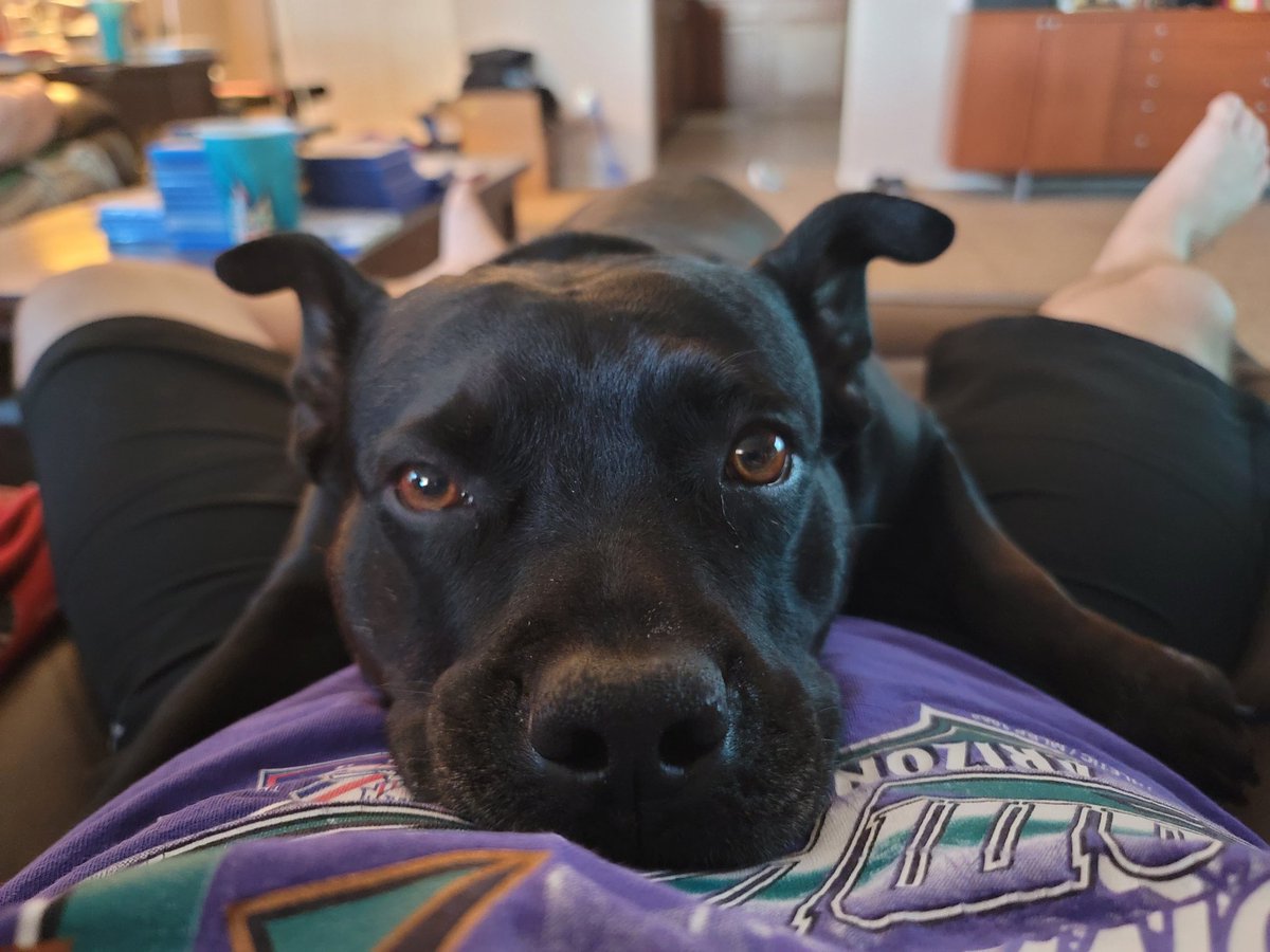 ShadowThePibble's tweet image. 108° out buts I gots to stay warm