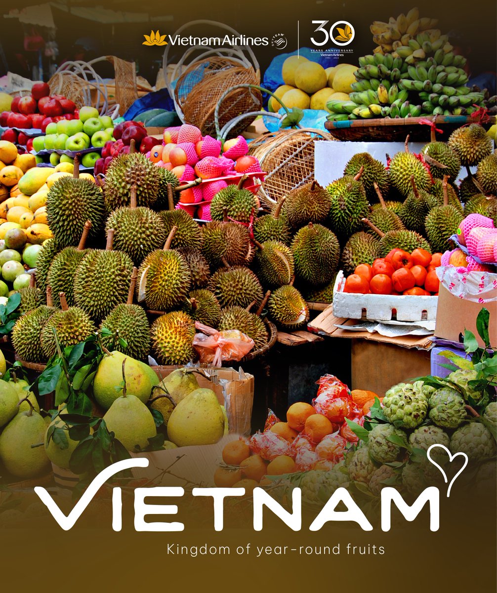 気候に恵まれているベトナムは、一年を通して豊富な種類の果物を生産することで知られています。特に5月から8月にかけての夏には、ドリアン、マンゴスチン、ランサットなどの果物がベトナム全土で楽しめ、世界中に輸出されています。
#VietnamAirlines #4StarAirline #4Stars4You #VietnamTourism