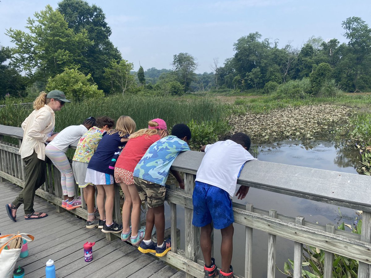UrbanAdvSquad's tweet photo. The questions we have when we use the #CityAsTheClassroom: What happens during pollination? Where does the water flow? What bird is that? How old is that tree?
Is the pedestrian infrastructure enough to keep us safe?
#ThisIsOutdoorLearning
#Outdoors
#EquitableOutdoorLearning https://t.co/KmfXVeBuUF