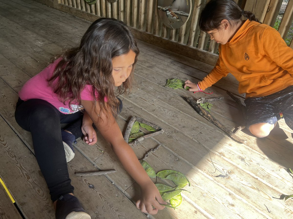 jillian_pizzo's tweet image. Our K-2 #CampMigizi class is learning about area! We used natural objects to fill the space of shapes we created, then we documented our findings in our journals. @OjibwayPrairie @Joseph745613165 @ClaraHowitt @TinaDeCastro1 @gecdsbpro #GECDSBSLP2023
