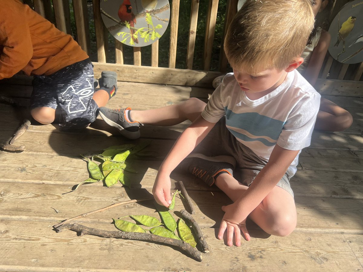 jillian_pizzo's tweet image. Our K-2 #CampMigizi class is learning about area! We used natural objects to fill the space of shapes we created, then we documented our findings in our journals. @OjibwayPrairie @Joseph745613165 @ClaraHowitt @TinaDeCastro1 @gecdsbpro #GECDSBSLP2023