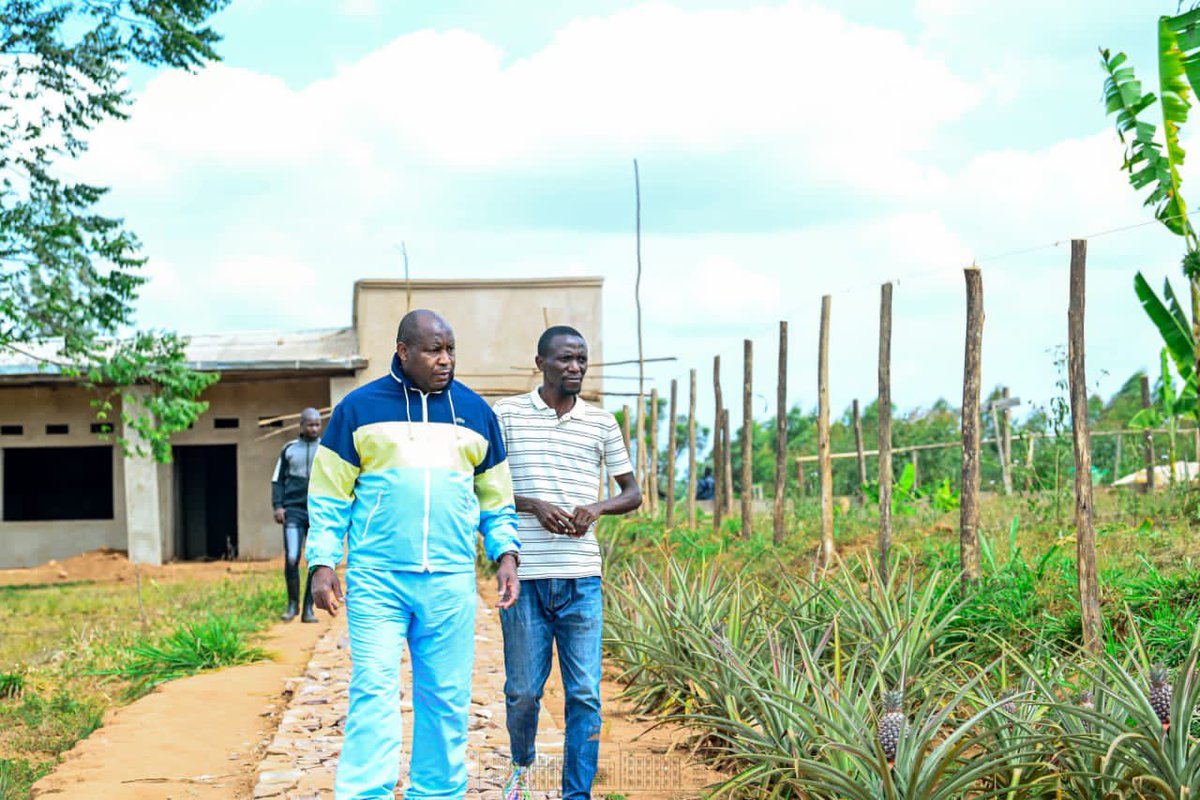 NtareHouse's tweet photo. #Burundi Mettant à profit le congé gouvernemental, SE @GeneralNeva a visité plusieurs projets de développement initiés par des natifs des collines Rutegama et Kibogoye de la commune Giheta. Il a salué l’adoption des techniques modernes agro-pastorales pour améliorer le rendement. https://t.co/8sJHVYhHZ6