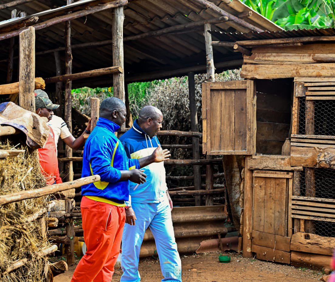 NtareHouse's tweet photo. #Burundi Mettant à profit le congé gouvernemental, SE @GeneralNeva a visité plusieurs projets de développement initiés par des natifs des collines Rutegama et Kibogoye de la commune Giheta. Il a salué l’adoption des techniques modernes agro-pastorales pour améliorer le rendement. https://t.co/8sJHVYhHZ6