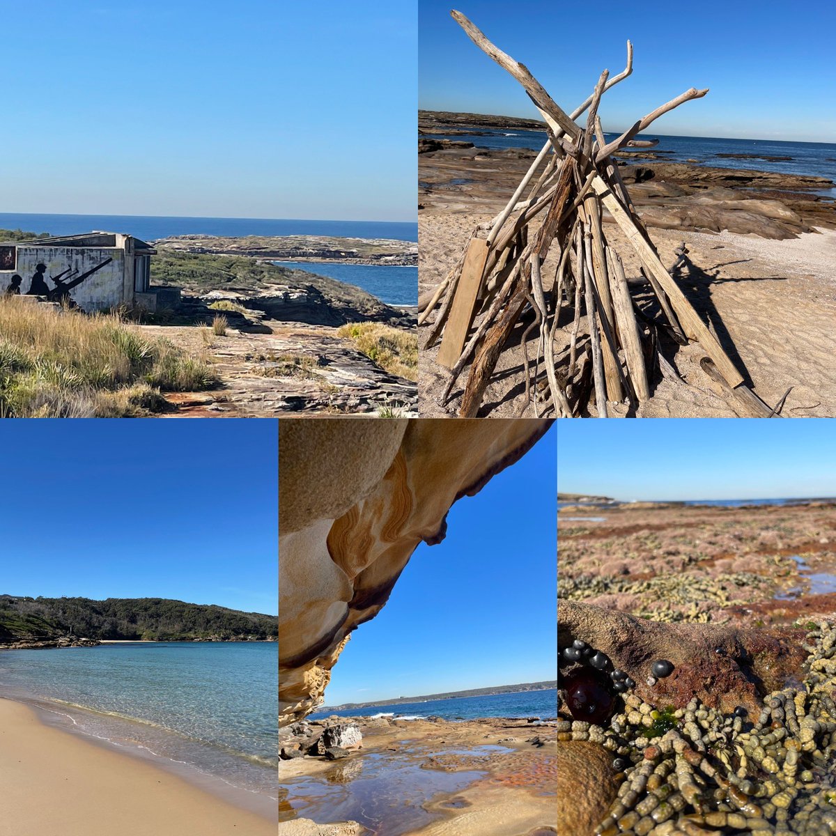 Beautiful day for a walk ☀️ La Perouse to Cape Banks.
