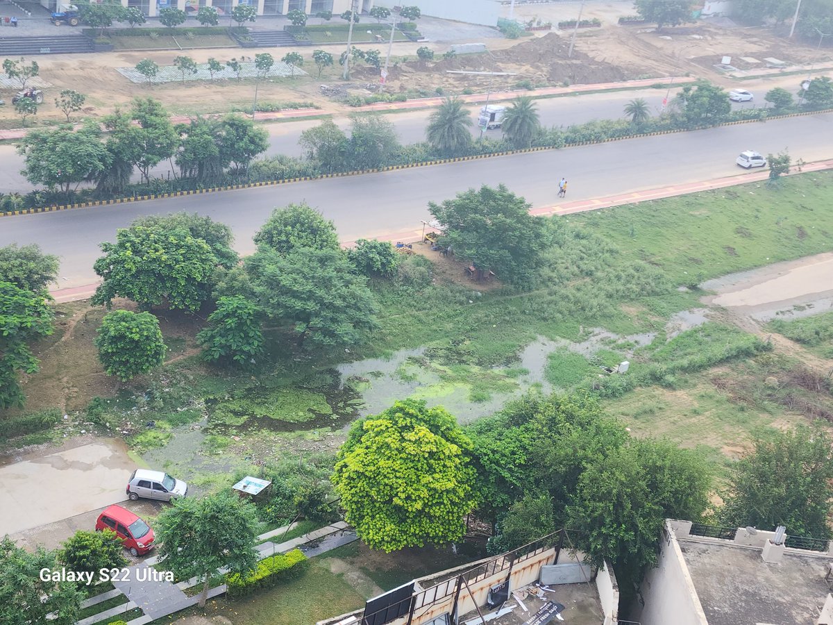 _SatyavirSingh's tweet image. @cmohry @Dchautala @DC_Gurugram @MCManesar
#ServiceLane
हर स्तर पर शिकायत के बावजूद MAPSKO Casa Bella &amp;amp; Vatika, Sec 82, Gurugram के बीच करीबन 100 मीटर की सर्विस लेन अभी भी Mosquito Breeding Centre बनी हुई है। बदबू छेल रहे पड़ोसियों का हाल ना बयान करें तो ही अच्छा। Please Help 🙏