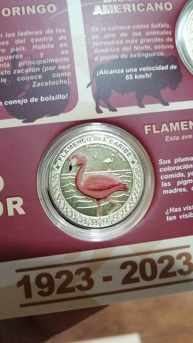 El_Numismatico's tweet photo. Aqui mi colección de medallas del 100 aniversario del #BosqueDeChapultepec, plata, latón y níquel.
¡Los #Ajolocoins se hicieron realidad! ¿Quién más si alcanzó?
#numistuits
#México
#cultura
#arte https://t.co/dgUsCOcvxi