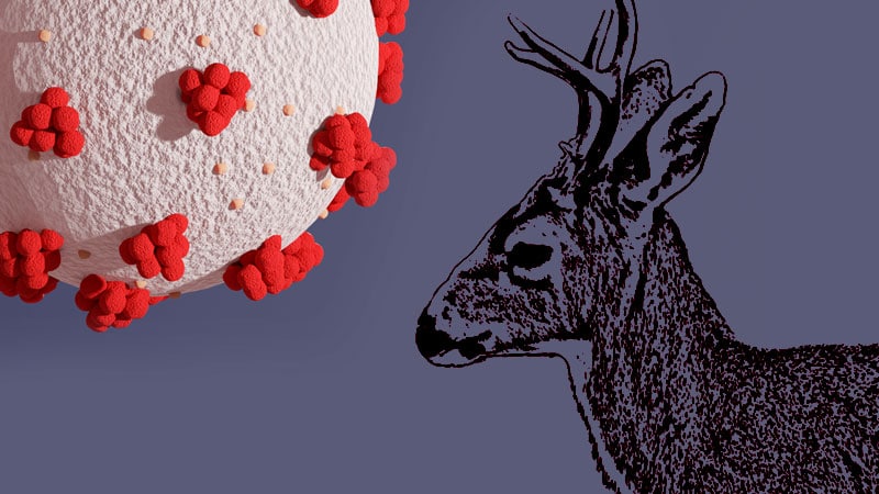 Medscape tweet media