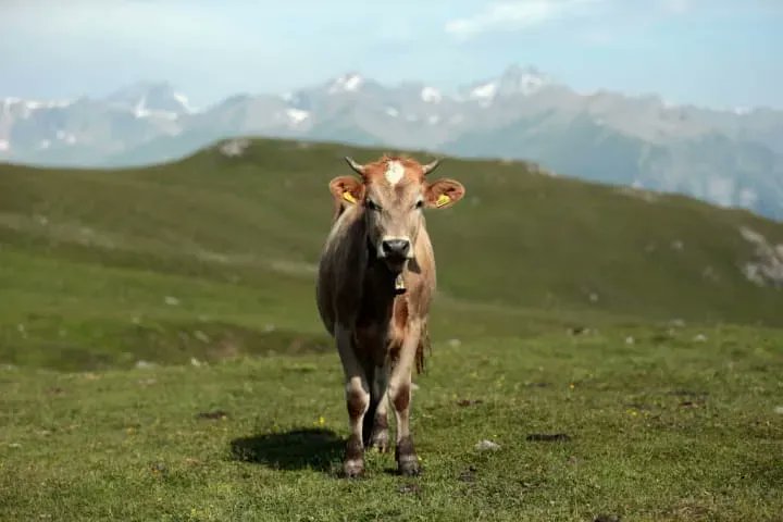 The Displaced Nation tweet media