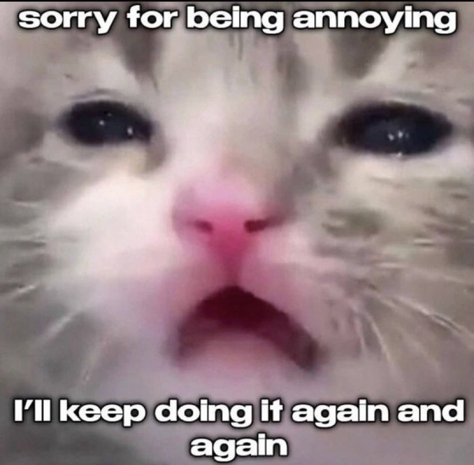 literallymecats's tweet photo. https://t.co/1R9VuTSnlS