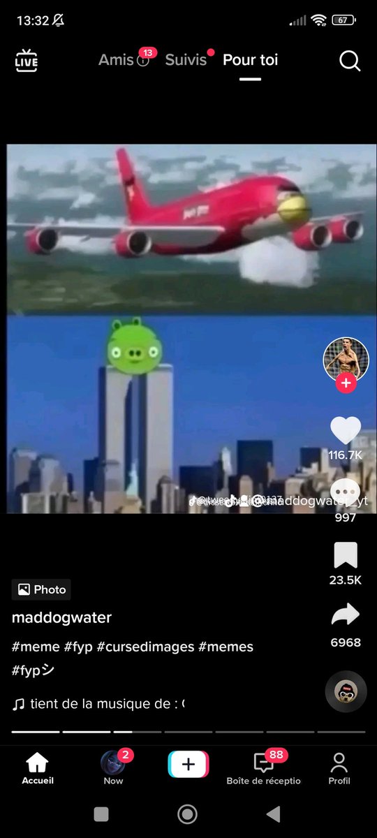 julesbrandao7's tweet photo. Merci ben Laden #SeptemberBirthday11 #AngryBirdInu #aerovia https://t.co/notrKUg7fr