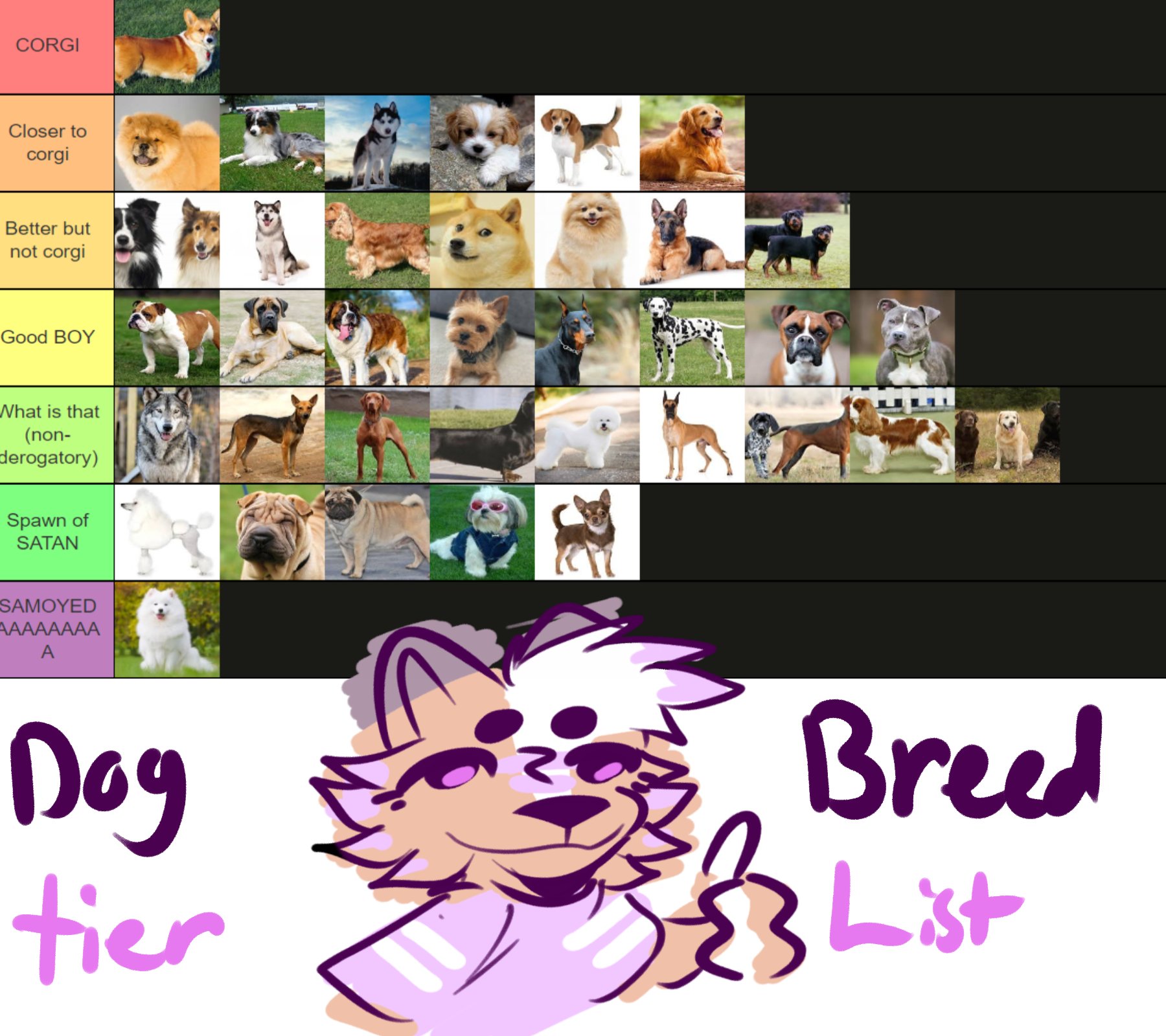 The Dog Tier List 