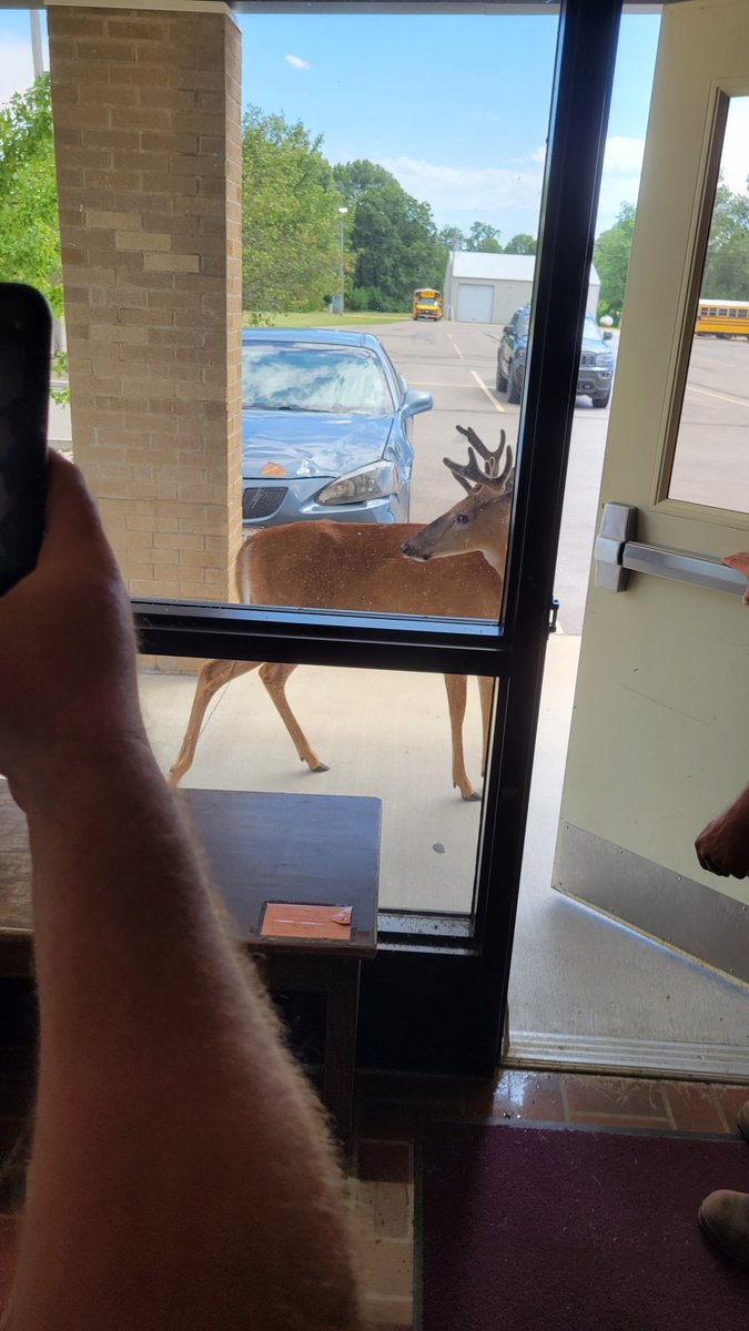 Landon Daniel tweet media