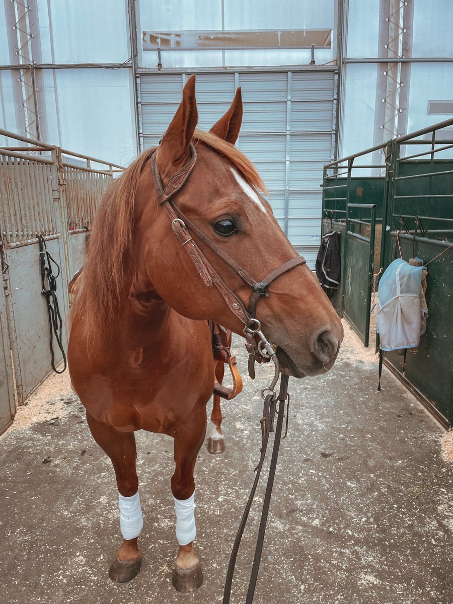 showatalope's tweet photo. My lungs aren’t as good as they once were, but I’m not going to let it stop me 👆🏼thanks for a fun weekend, Red 💕 https://t.co/yzagJvBZnp
