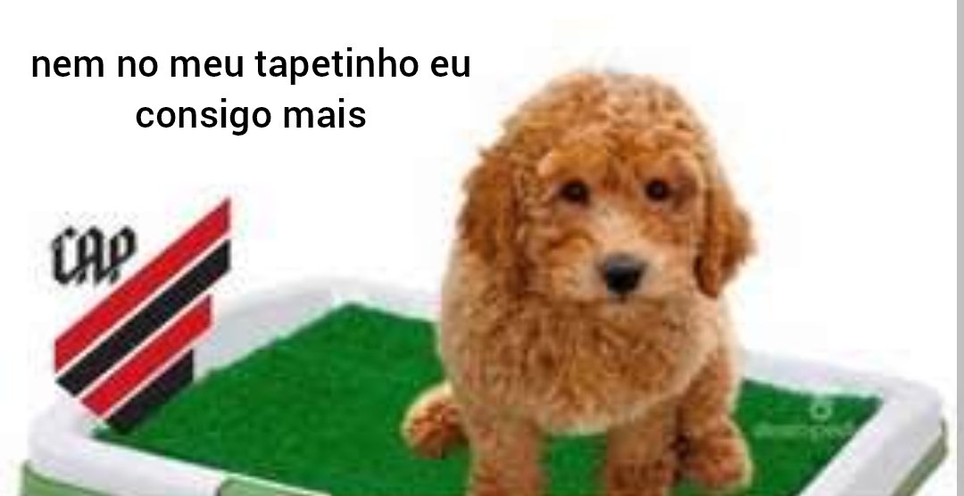 alexcrfla's tweet photo. KKKKKKKKKKKKKKKKKKKKKKKKKKKKKKKKKKKKKKKKKKKKKKKKKKKKKKKKKKKKKKKKKKKKKKKKKKKKKKKKKKKKKKKKKKKKKKKKKKKKKKKKKKKKKKKKKKKKKKKKKK https://t.co/0SpnLMMPbW