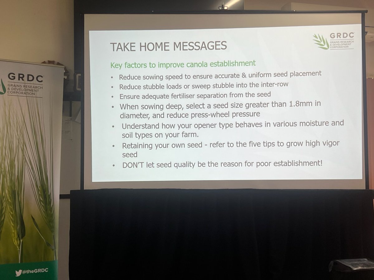 GRDCSouth's tweet photo. Growers at the #GRDCUpdates in #Minyip learnt how to improve canola establishment and receive more bang for your buck. Colin McMaster @nswdpi gave an update on grower retained seed and limiting factors to yield productivity @master4colin https://t.co/cX3z2gLBQ2