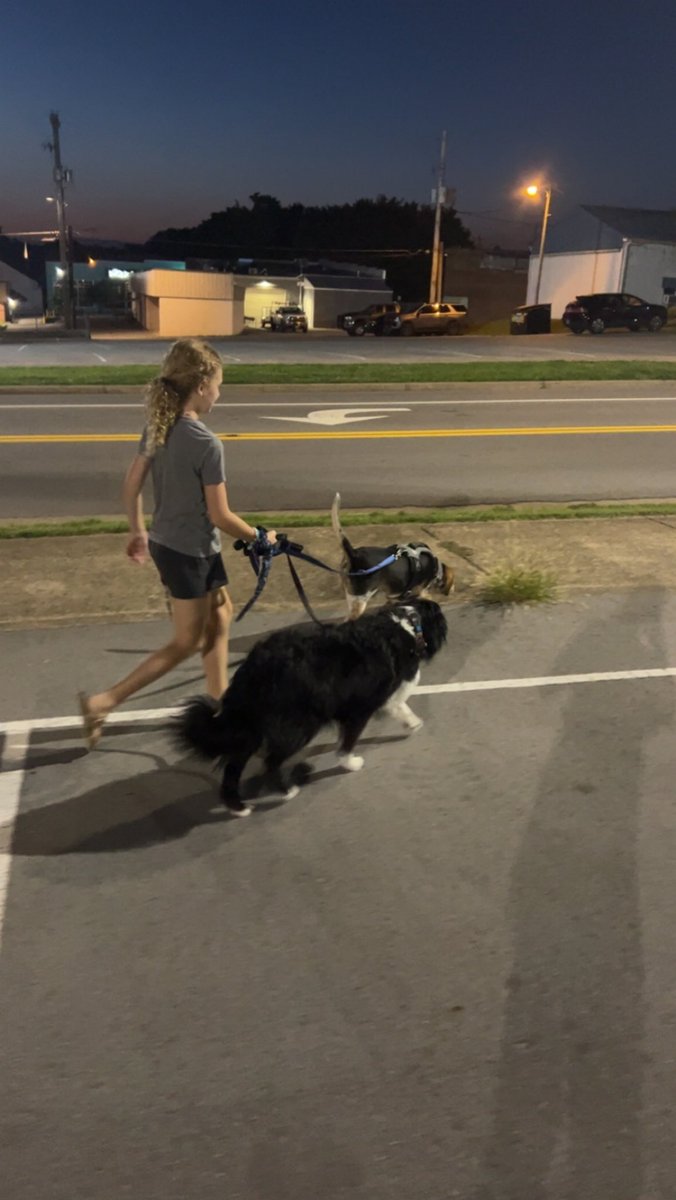 cardwellms's tweet photo. We are in love with the downtown life🥰 https://t.co/Dr5fGxsxse