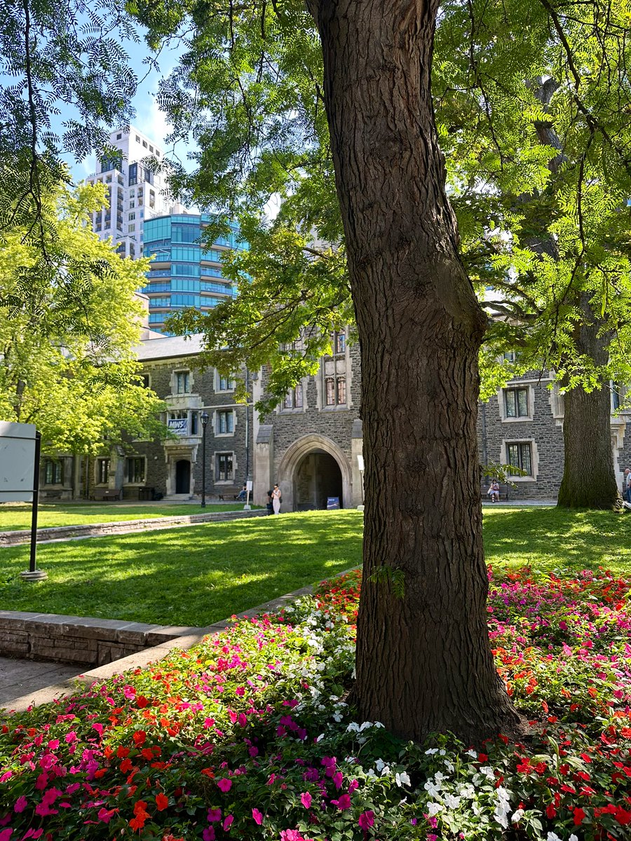 Zoë Burgard tweet media