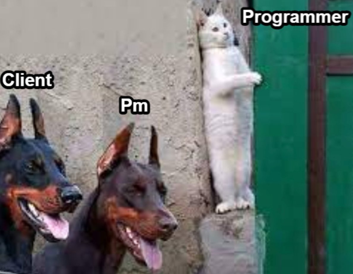 Greptime's tweet image. Hush! Don't make a sound. Probe warning. 😨 

#programmerhumor #funnydaily #weekday #coding
