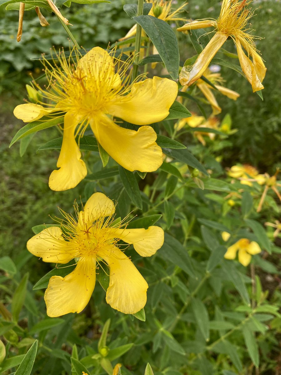 예쁘기도 하지.