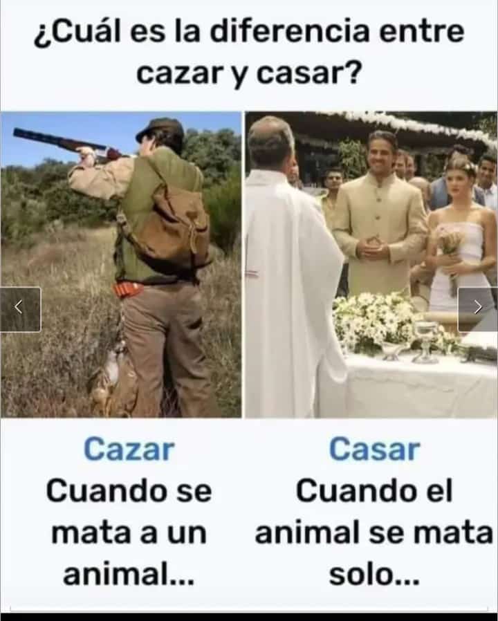 Kellyn Gutiérrez tweet media