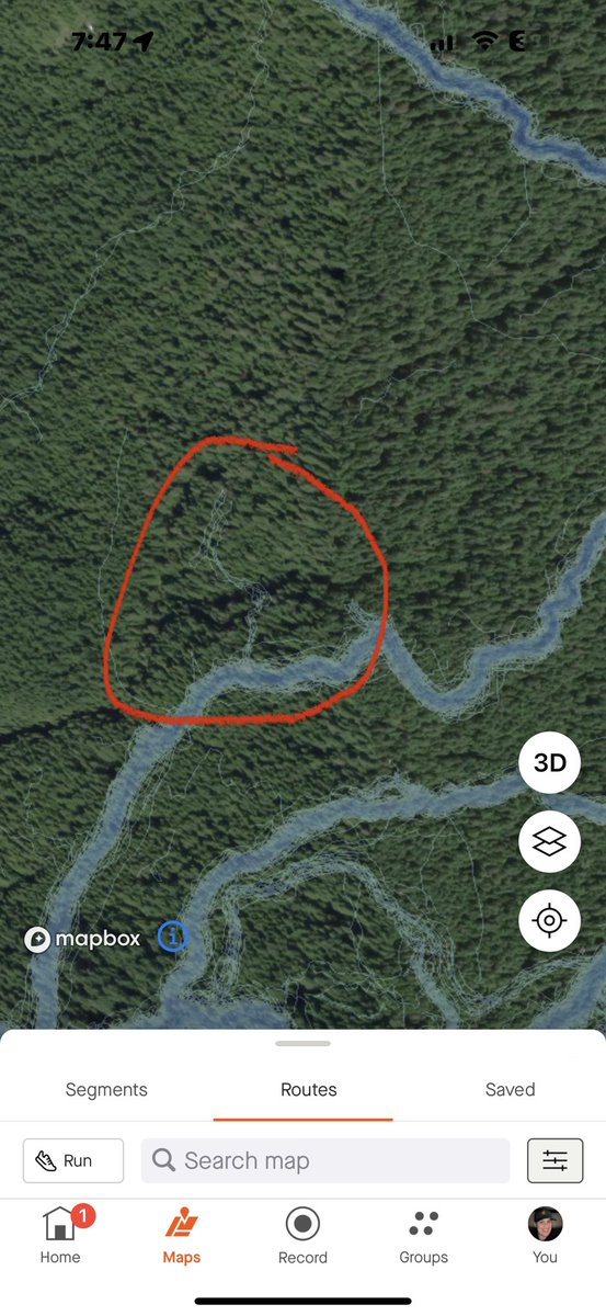 Snoopystace's tweet photo. @Brad604 @BenGiggman @BCScan1 Satellite view shows it’s had traffic. https://t.co/vJmgo9c0xH