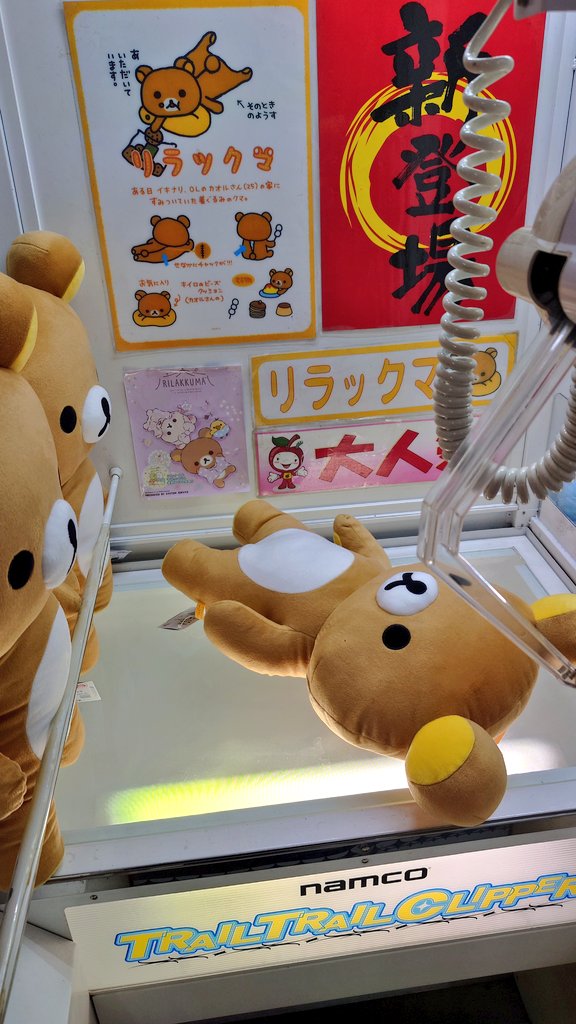 ぬいぐるみXL - Twitter Hashtag | Sotwe
