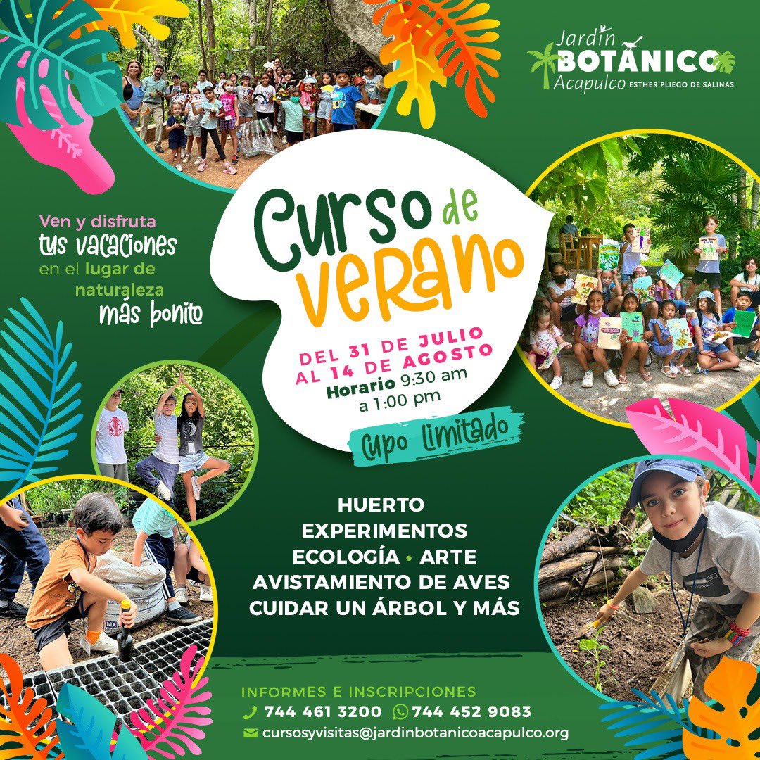 JBotanicoAca's tweet photo. ☀️ᑕᑌᖇᔕO ᗪᗴ ᐯᗴᖇᗩᑎO☀️
📌Iniciamos lunes 31 de julio
Dos semanas, las mejores y más divertidas actividades en un lugar increíble de naturaleza! 🌳🌈
🦋🍄🍃🐞🐝🦎🍅🌳🍋🐛
•
Donativo para la conservación: 
$1,000 por semana 
Horario 9:30 a 1 pm 
Edades de 7 a 12 https://t.co/AmLe96L0Y8