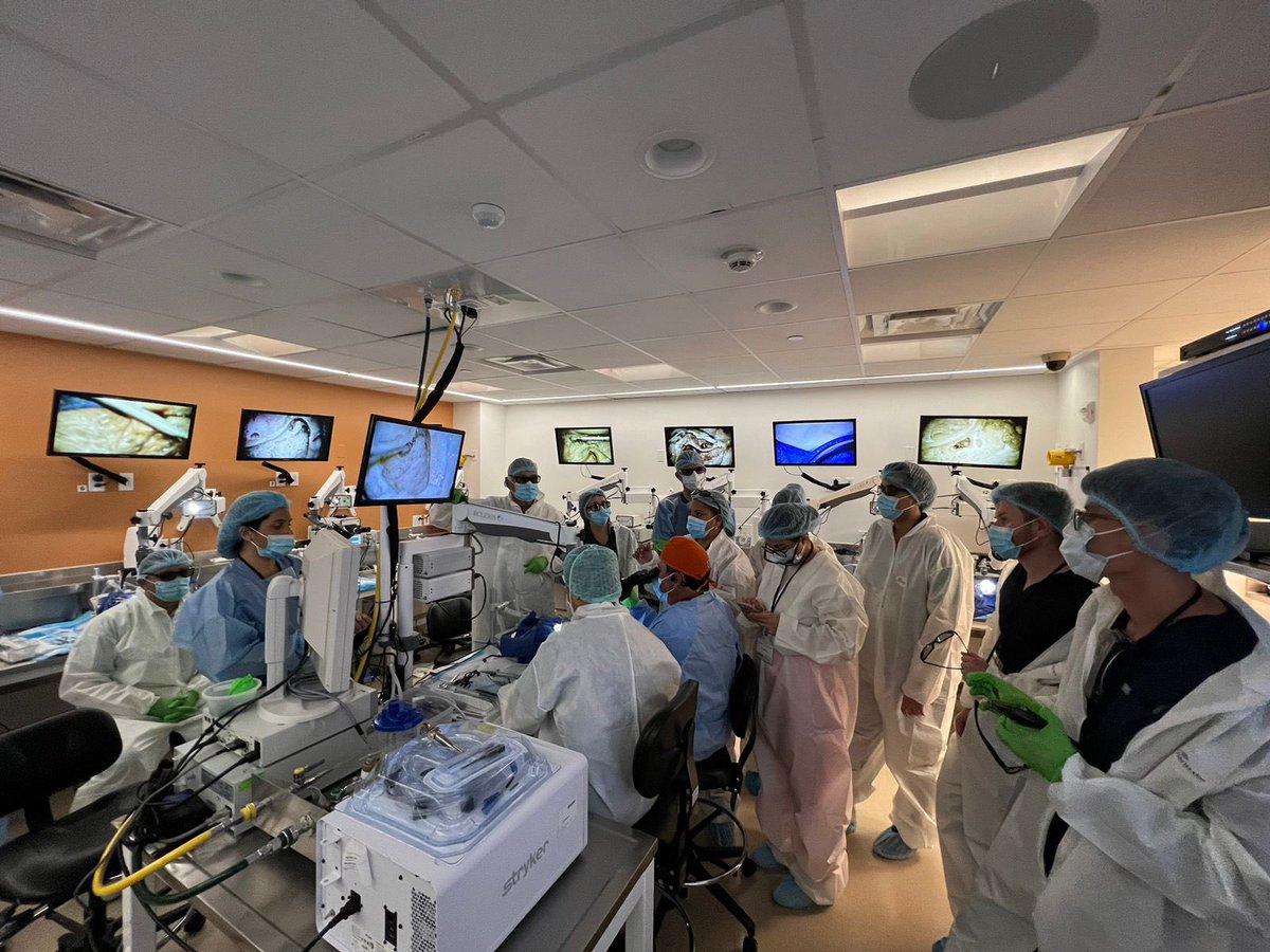 CanesLab tweet media