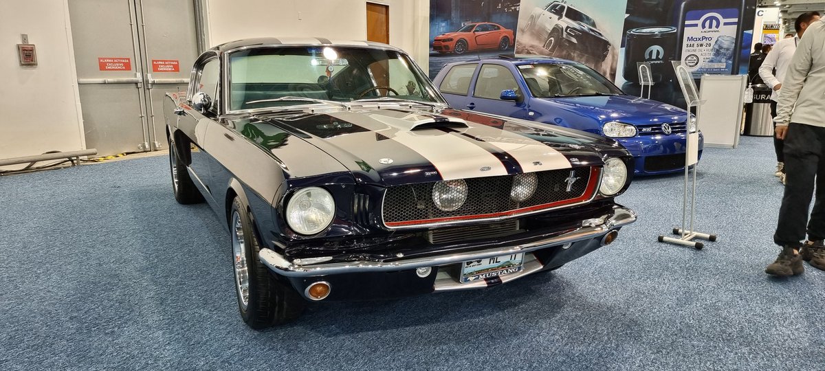 MustangRMX's tweet photo. En PAACE Automechanika
#MRM #ANCM #KRMC #mustanglatam #itsmustangs #familymustang #slammedstangs #worldofmustang #mustang #v8werk #V8 #kor6 #prmseguros #RevistaSomosCustom #dgrtriumph https://t.co/asA9h7Sxn6