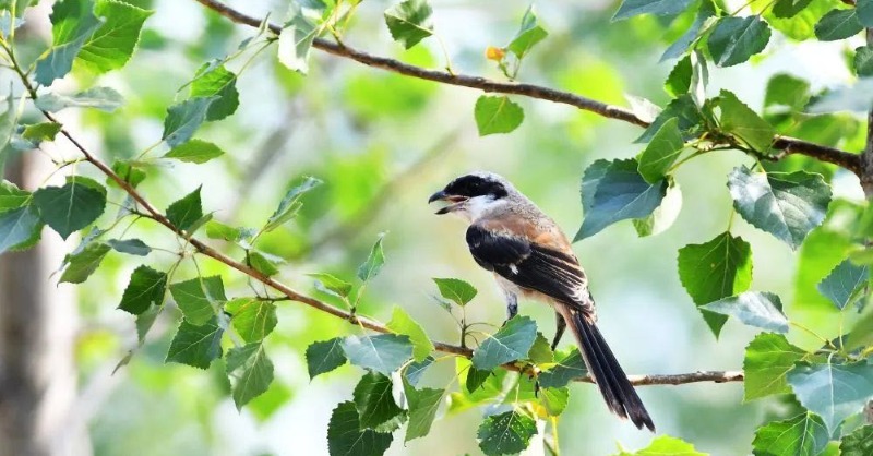 Zhuhai is one of the most livable cities in China. Young, passionate, and incredible, Zhuhai has a lot to share. Follow us and Enjoy!