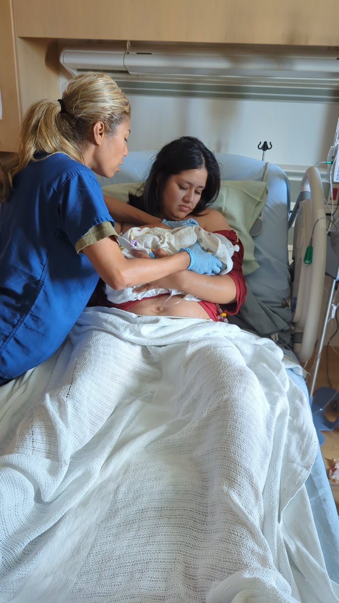 soSynfull tweet media