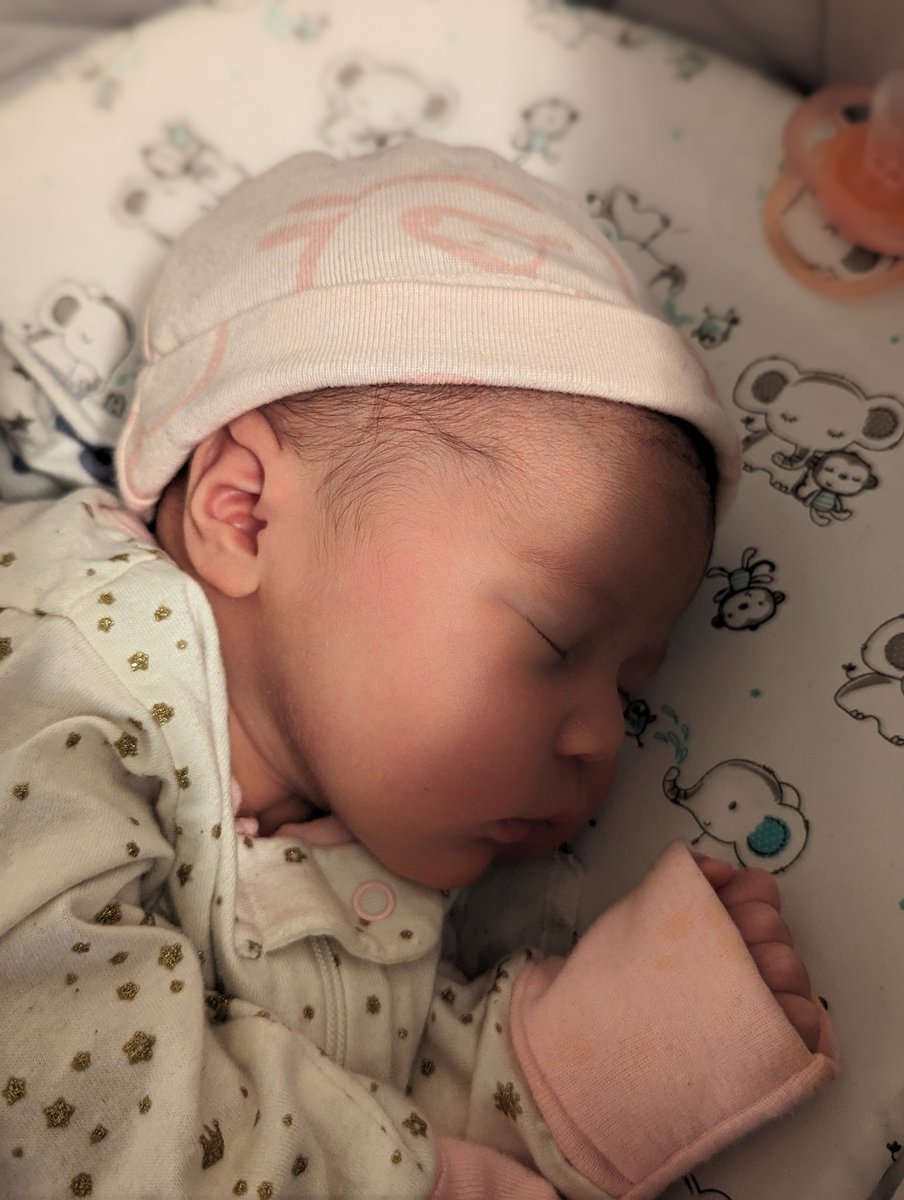 soSynfull tweet media