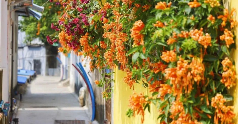 Zhuhai is one of the most livable cities in China. Young, passionate, and incredible, Zhuhai has a lot to share. Follow us and Enjoy!