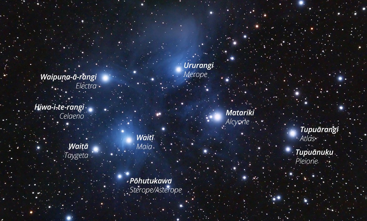 ANZCA's tweet photo. Today we recognise #Matariki in Aotearoa, the start of the Māori New Year. A time of whānau (family) gatherings, the sharing of kai (food) &amp; of reflection, thanksgiving, and remembrance of those who have died. Mānawatia a Matariki to all our #NZ fellows, trainees &amp; SIMGs. https://t.co/UN15TLzV5I