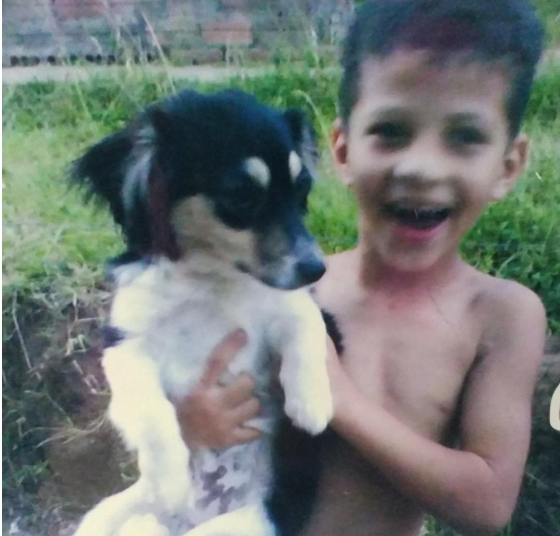 bostamijosangue tweet media