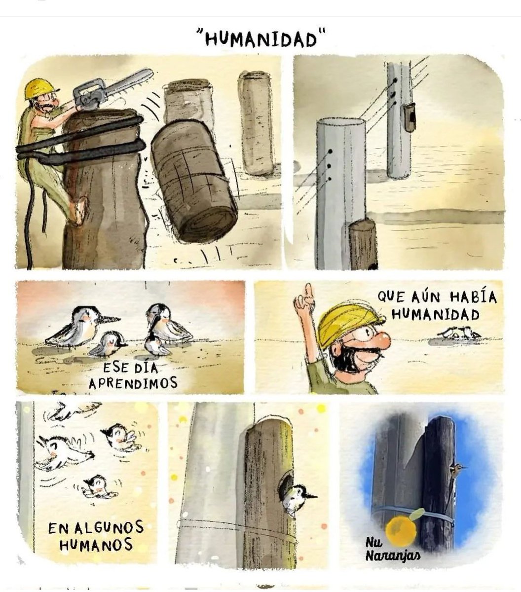 angiesan8's tweet photo. Humanidad 🙌 https://t.co/wN5F4dUMqS